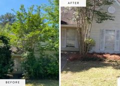 Front yard tree removal and new landscaping — before and after